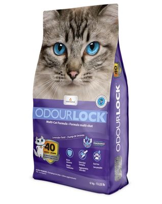 Intersand OdorLock Clumping Cat Litter Lavender Field Scented 13lb