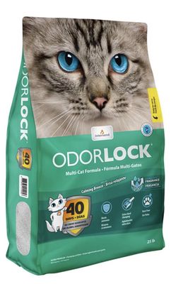 Intersand OdorLock Clumping Cat Litter Calming Breeze Scented 25lb