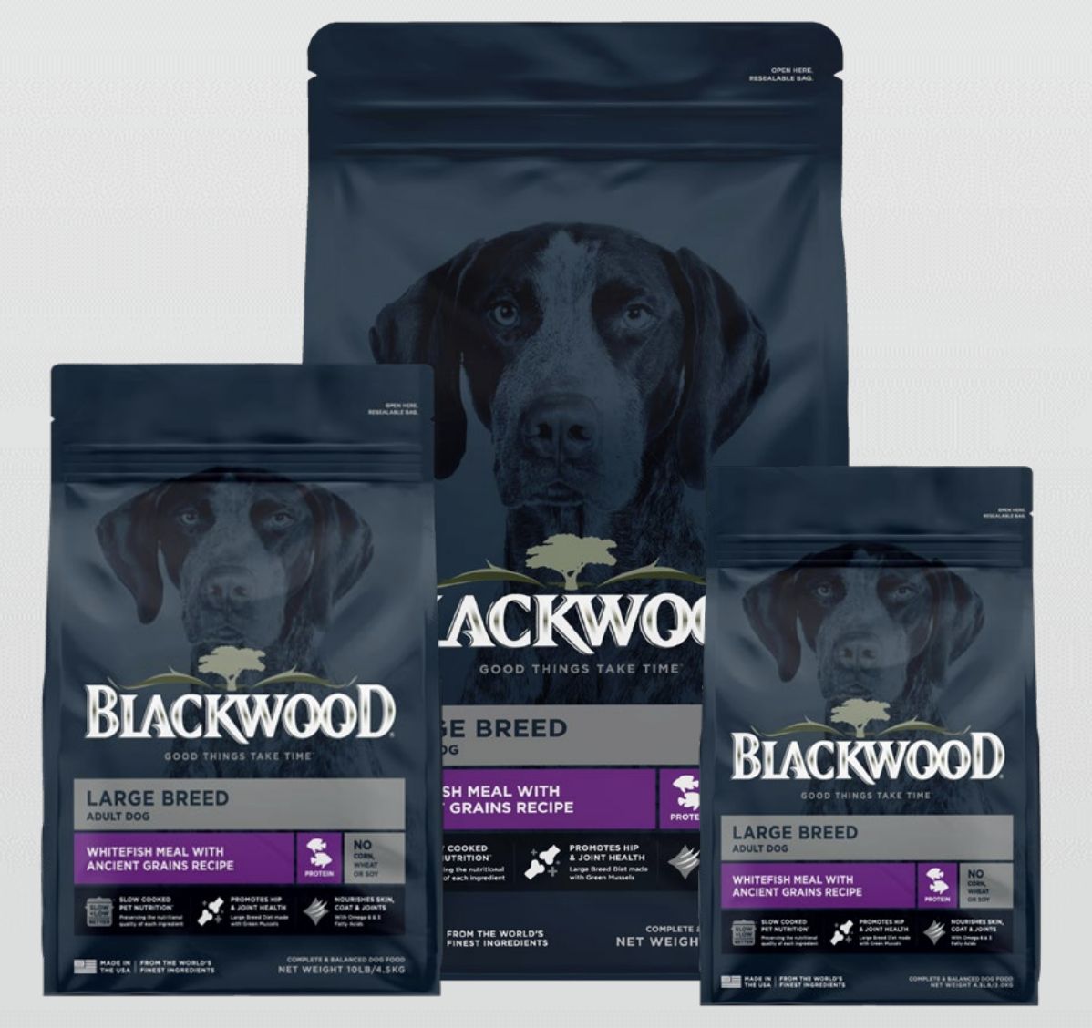 Blackwood Large Breed Adult Whitefish &amp; Ancient Grains Dog Food 24lb