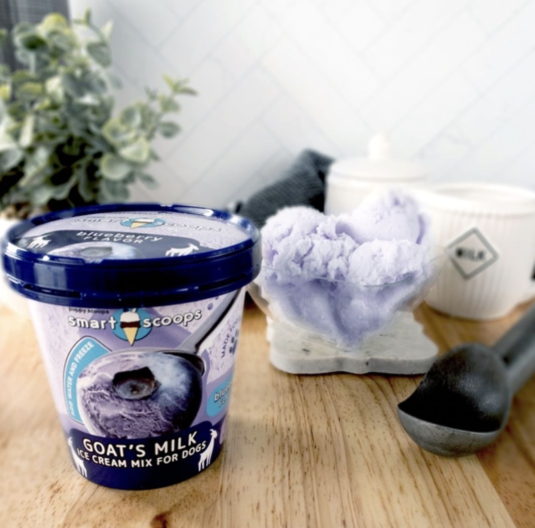 Puppy Scoops Blueberry Ice Cream 4.65 oz
