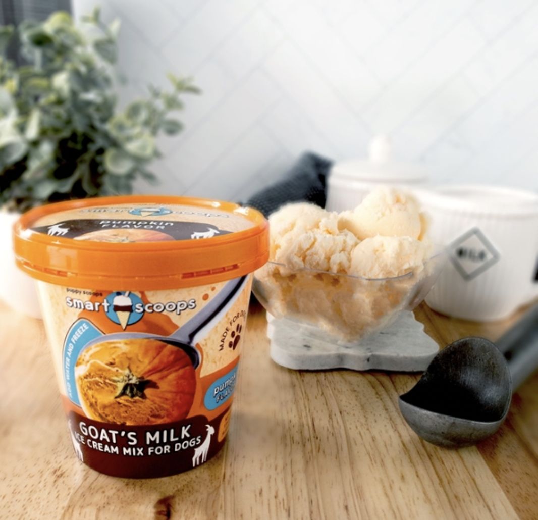 Puppy Scoops Pumpkin Ice Cream