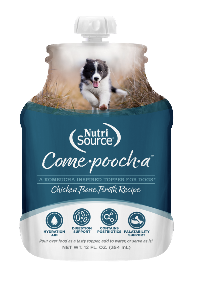 Nutrisource Come-Pooch-A chicken Broth Dog Food Topper - 12 oz