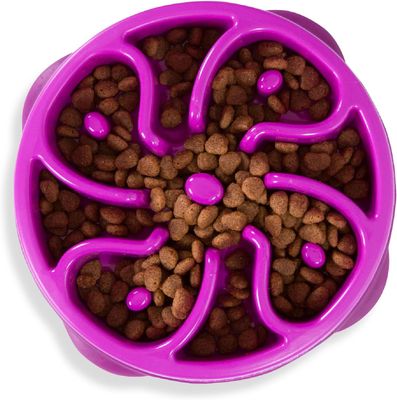 Outward Hound Non-Slip Large/Regular Fun Feeder Slo Bowl Purple Slow Feeder Dog Bowl