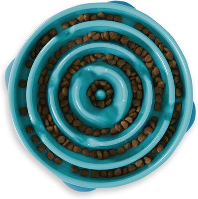 Outward Hound Non-Slip Large/Regular Fun Feeder Slo Bowl Turquoise Slow Feeder Dog Bowl
