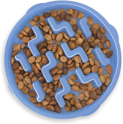 Outward Hound Large/Regular Fun Feeder Slo Bowl Blue Slow Feeder Dog Bowl