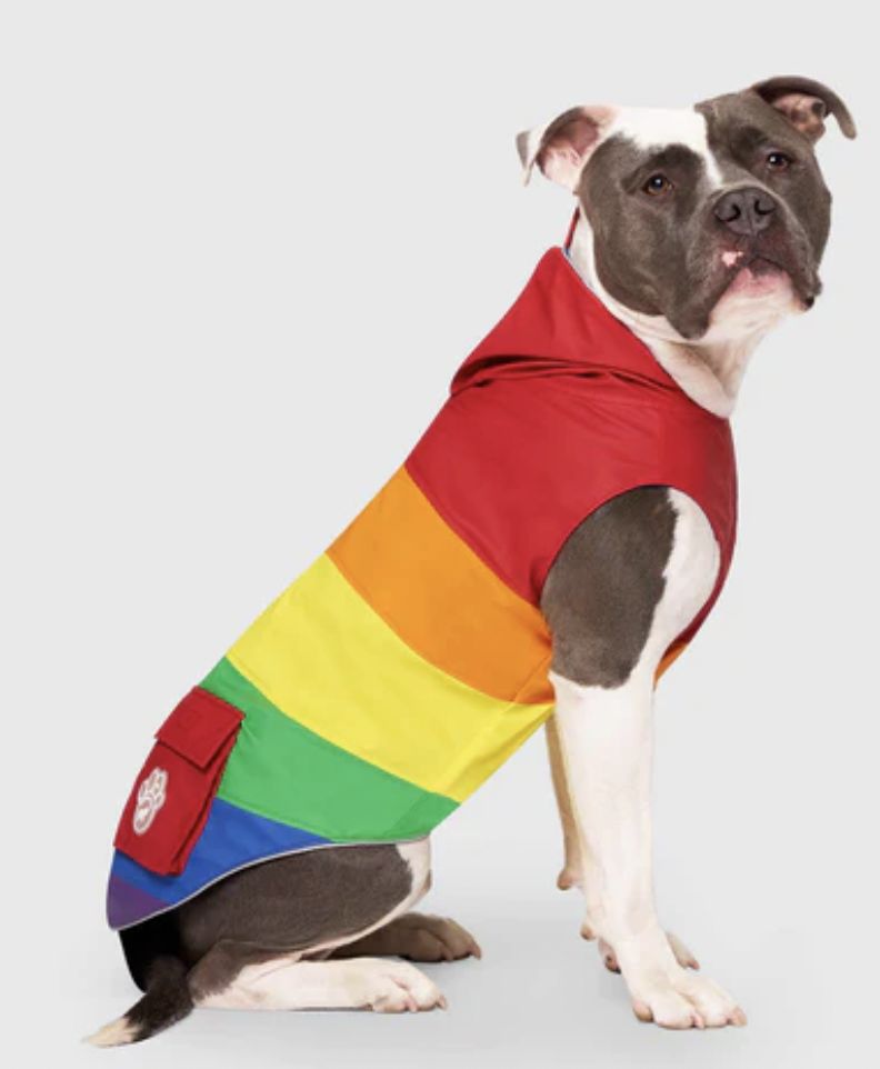Canada Pooch Torrential Tracker Rainbow Size 18