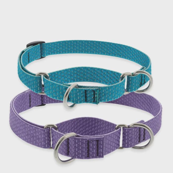 Lupine Eco 15-22 Martingale Collar Tropical Sea 1 inch