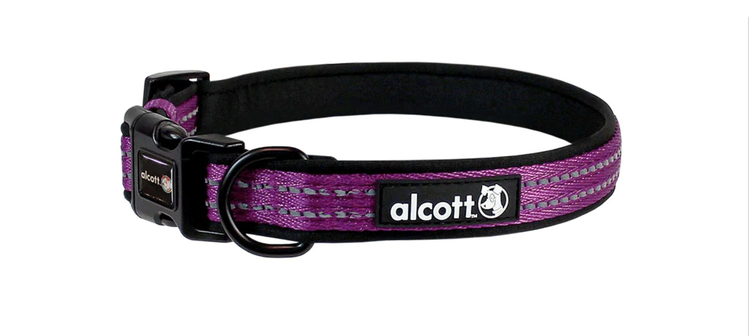 Alcott Adventure Dog Collar Purple - Large