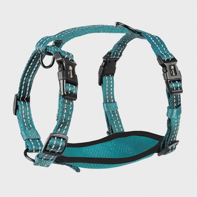 Alcott Adventure Dog Harness Blue - Small