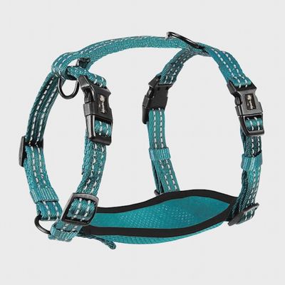 Alcott Adventure Dog Harness Blue - Small