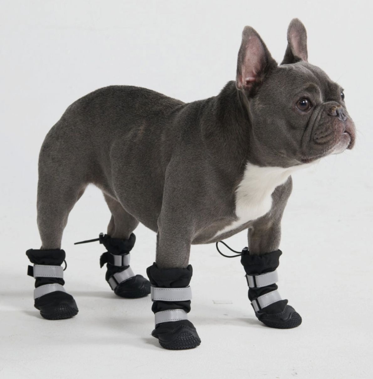 Spark Paws Flex Shell Water Resistant Black Dog Boots - Size B