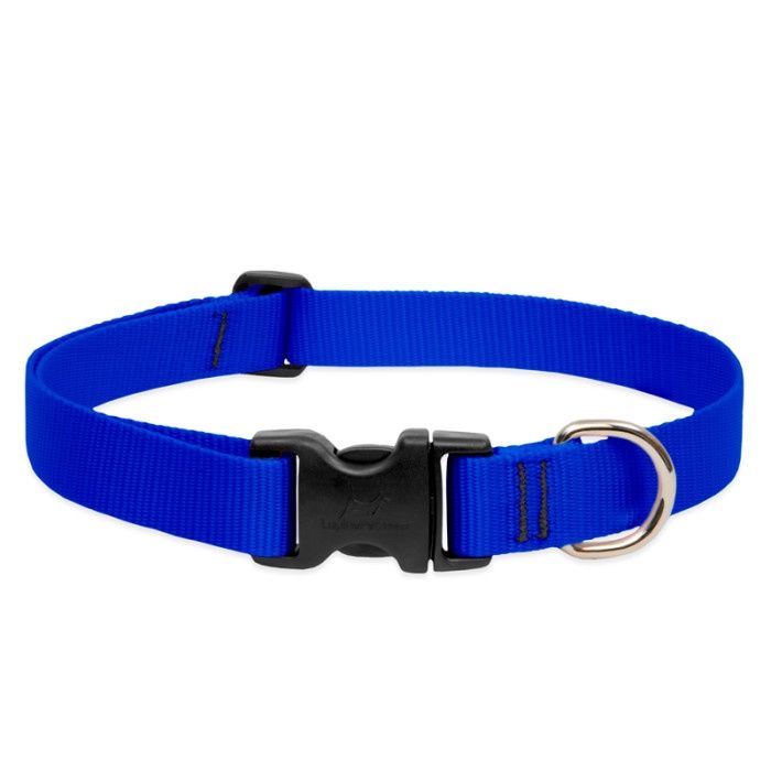 Lupine Basics 3/4in Adjustable Blue 13-22in