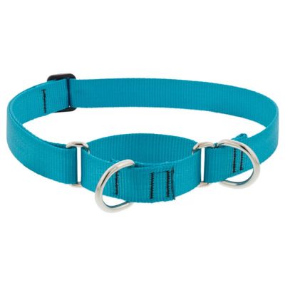 Lupine Basics 1in Martingale Aqua 19-27in