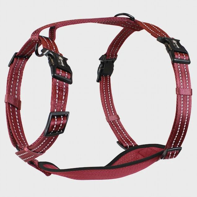 Alcott Adventure Dog Harness Red - Large