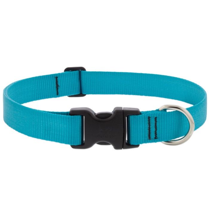 Lupine Basics 1in Adjustable Aqua 16-28in