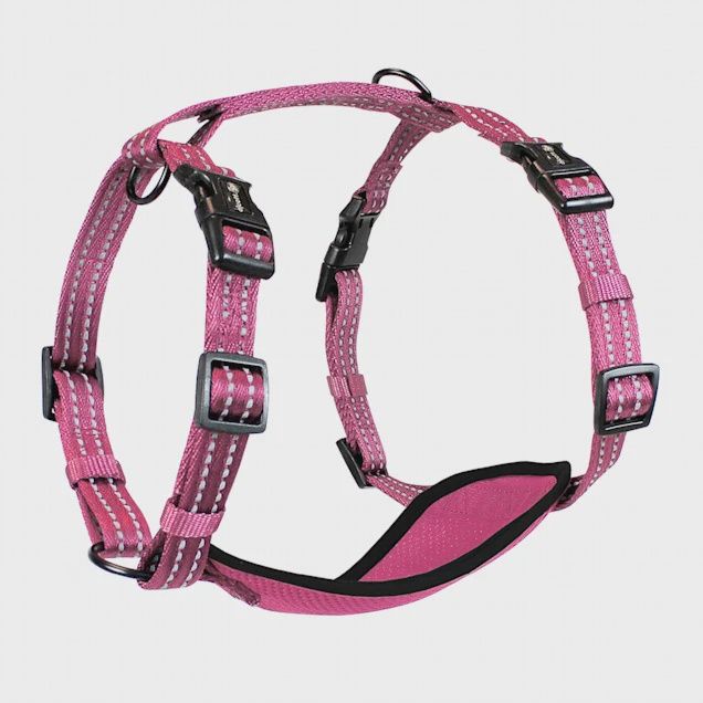 Alcott Adventure Dog Harness Pink- Medium