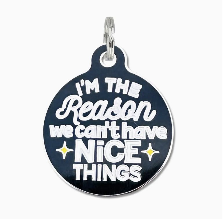 Bad Tags - I&#39;m The Reason We Can&#39;t Have Nice Things