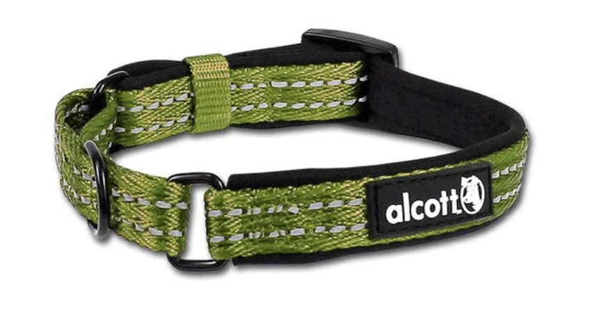 Alcott Martingale Dog Collar Green - Small