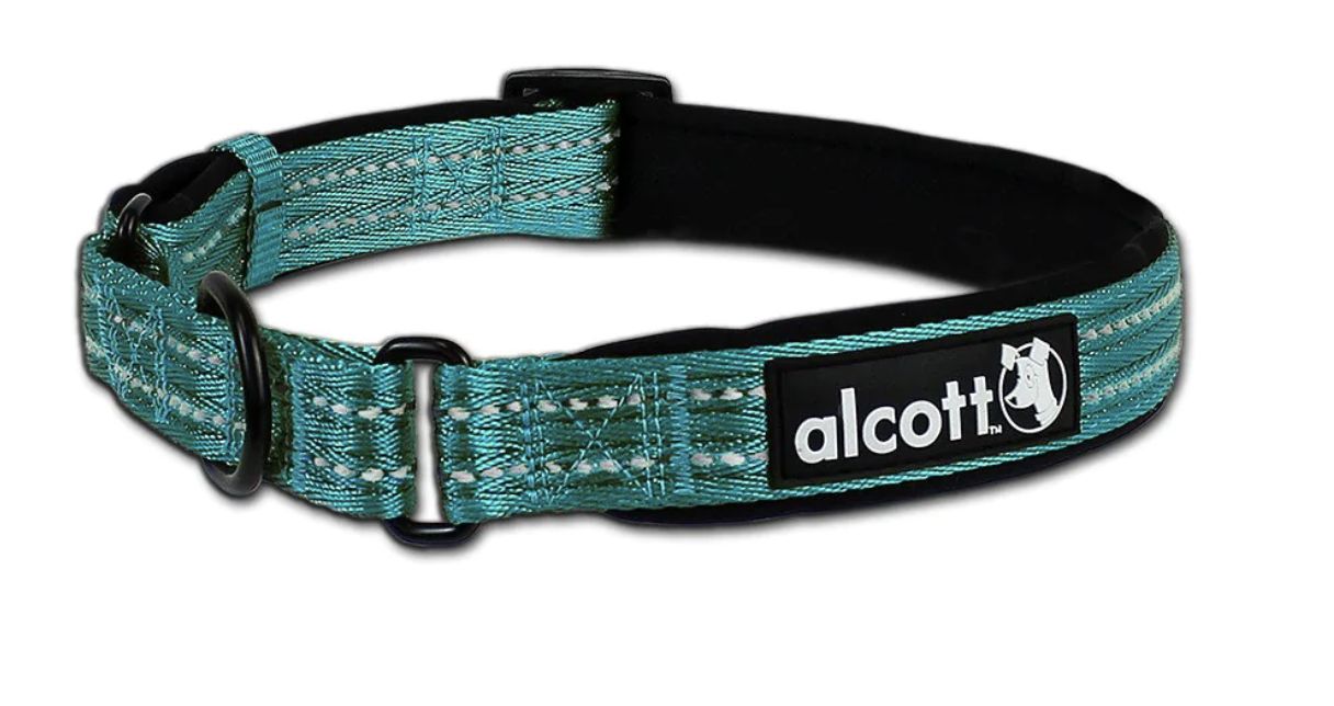 Alcott Martingale. Dog Collar Blue - Large
