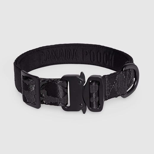 Canada Pooch Utility Collar Medium