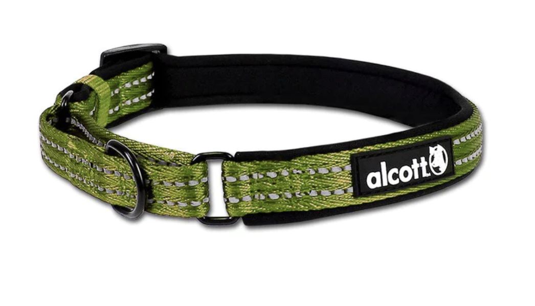 Alcott Martingale Dog Collar Green - Medium