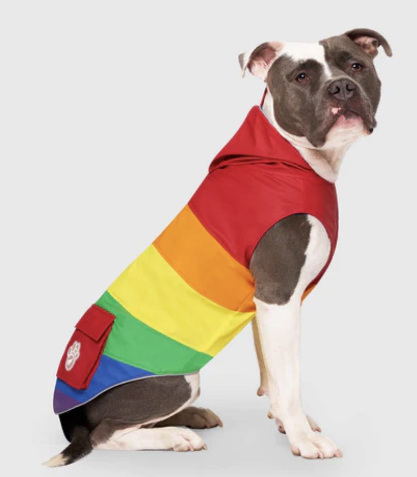 Canada Pooch Torrential Tracker Rainbow Size 26