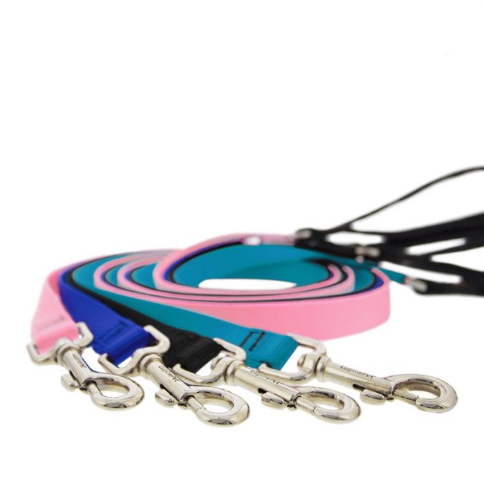 Lupine Basics 6ft Leash Purple 1inch
