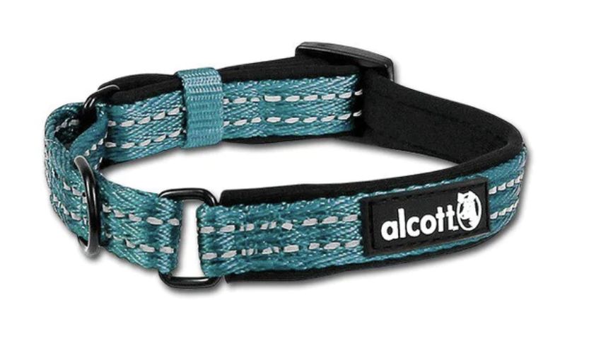 Alcott Martingale Dog Collar Blue - Small
