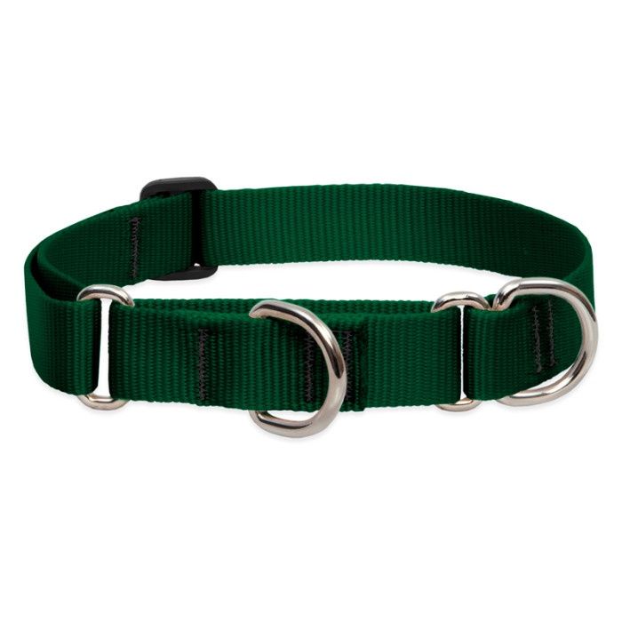 Lupine Basics 3/4in Martingale Green 10-14in