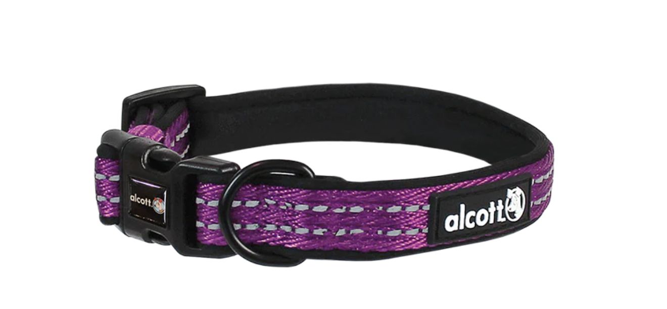 Alcott Adventure Dog Collar Purple - Medium