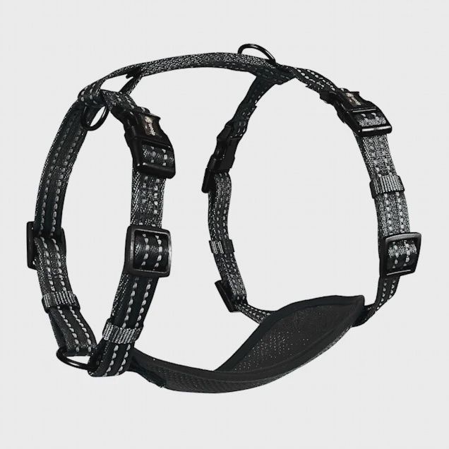 Alcott Adventure Dog Harness Black - Medium