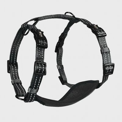 Alcott Adventure Dog Harness Black - Medium