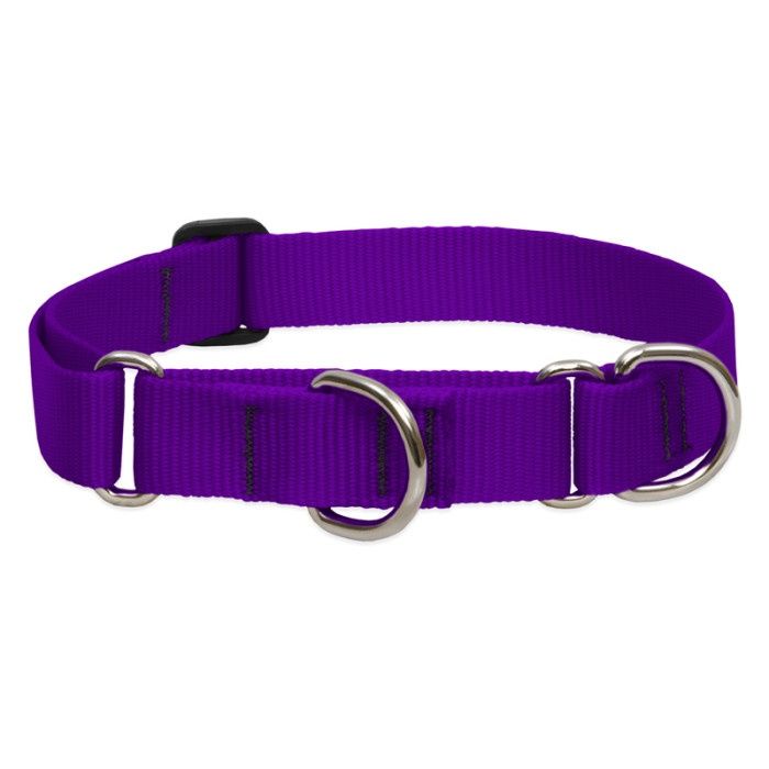 Lupine Basics 3/4in Martingale Purple 14-20in