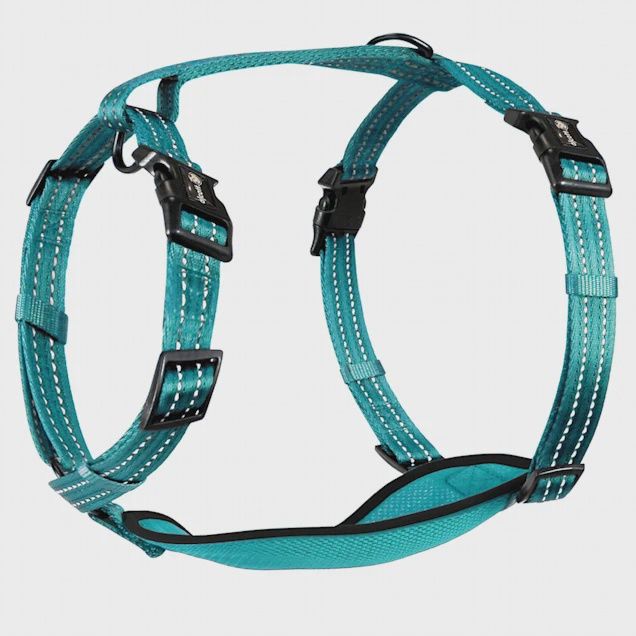 Alcott Adventure Dog Harness Blue - Large