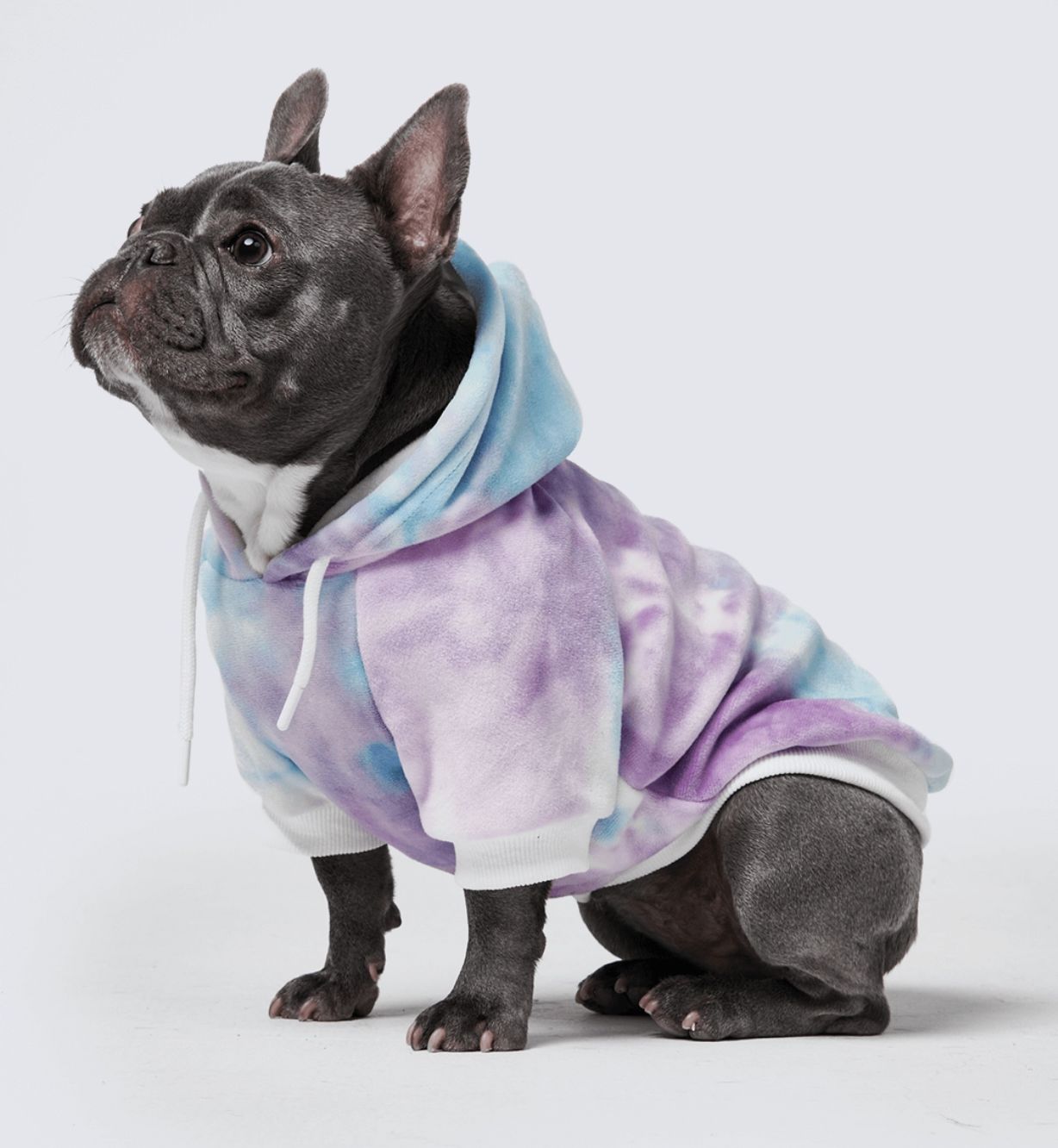 Spark Paws 90s Retro Velvet Dog Hoodie - Large