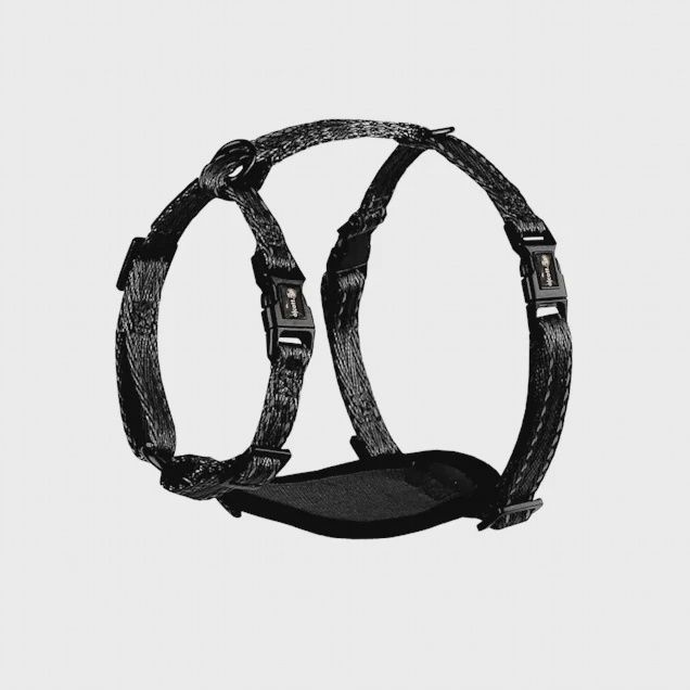 Alcott Adventure Dog Harness Black - Extra Small