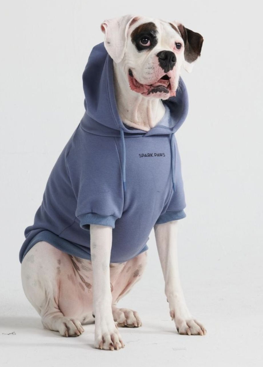 Spark Paws Slate Blue Dog Hoodie - 4XL