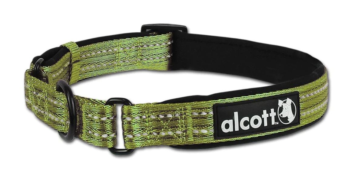 Alcott Martingale Dog Collar Green - Large