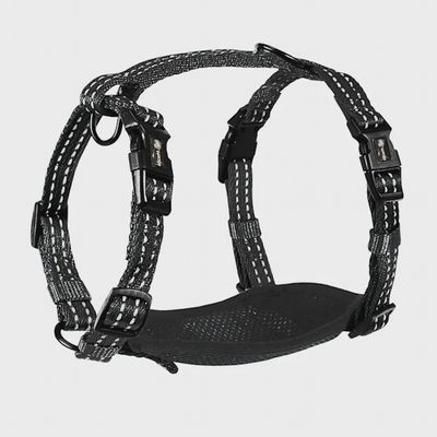Alcott Adventure Dog Harness Black - Small