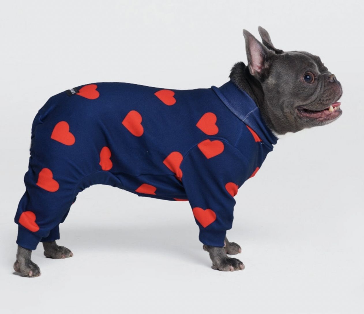Spark Paws Hearts Dog Pajamas - Small
