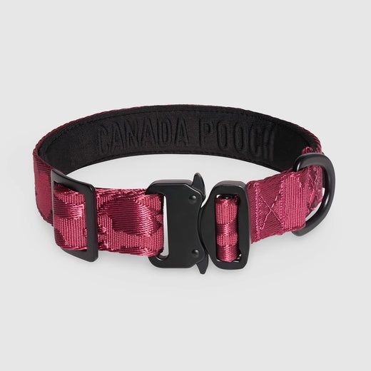 Canada Pooch Utility Collar Large