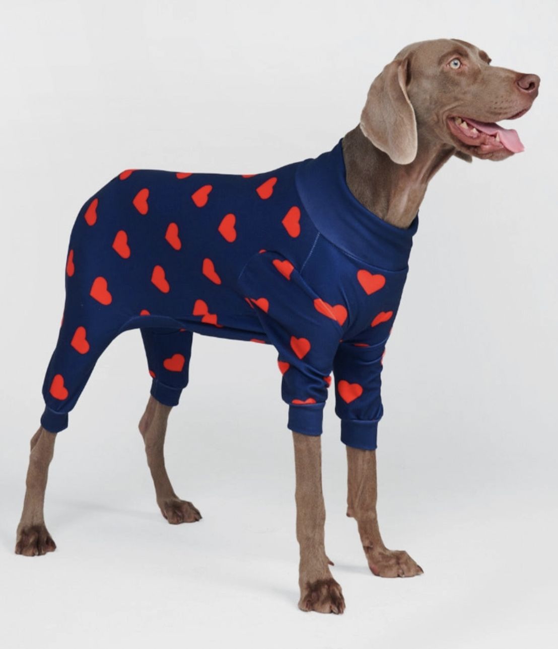 Spark Paws Hearts Dog Pajamas - 2XL