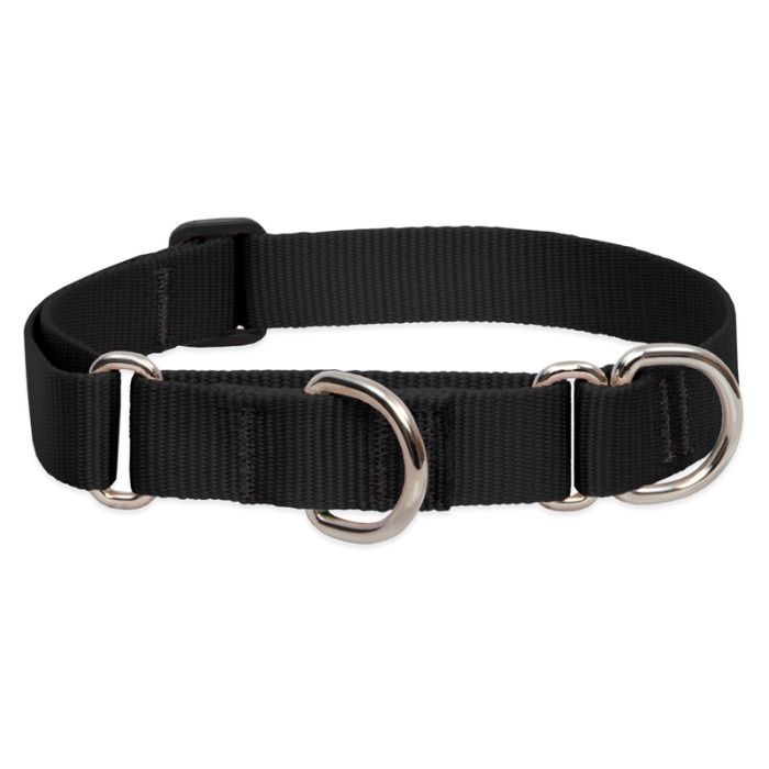 Lupine Basics 1in Martingale Black 15-22in