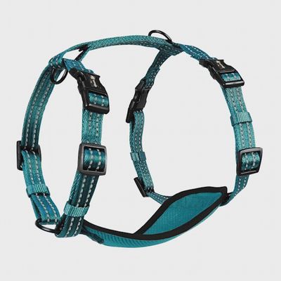 Alcott Adventure Dog Harness Blue - Medium