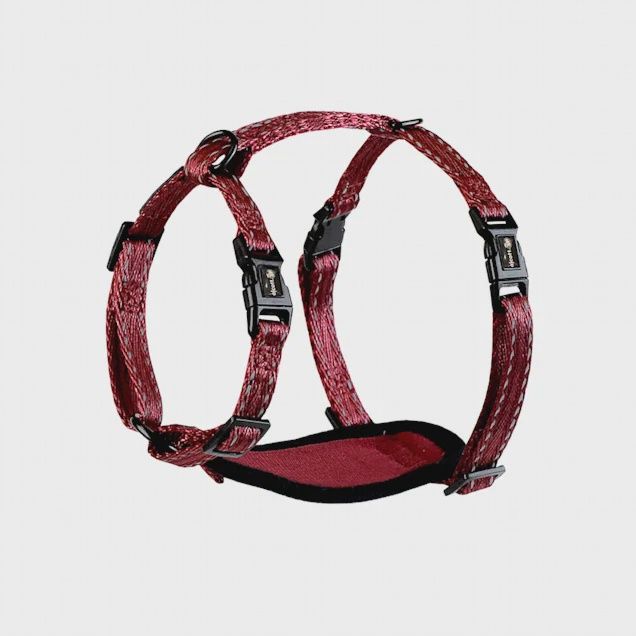 Alcott Adventure Dog Harness Red - Extra Small