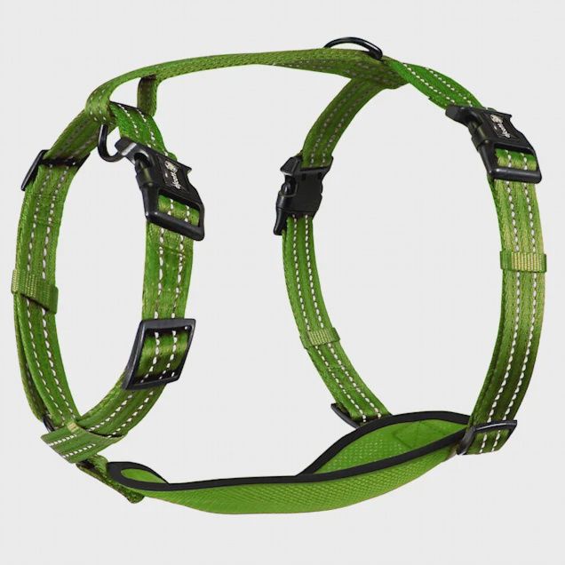 Alcott Adventure Dog Harness Green - Large
