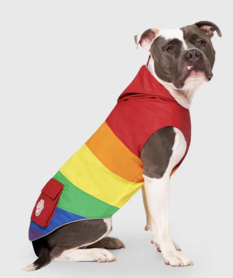 Canada Pooch Torrential Tracker Rainbow Size 22
