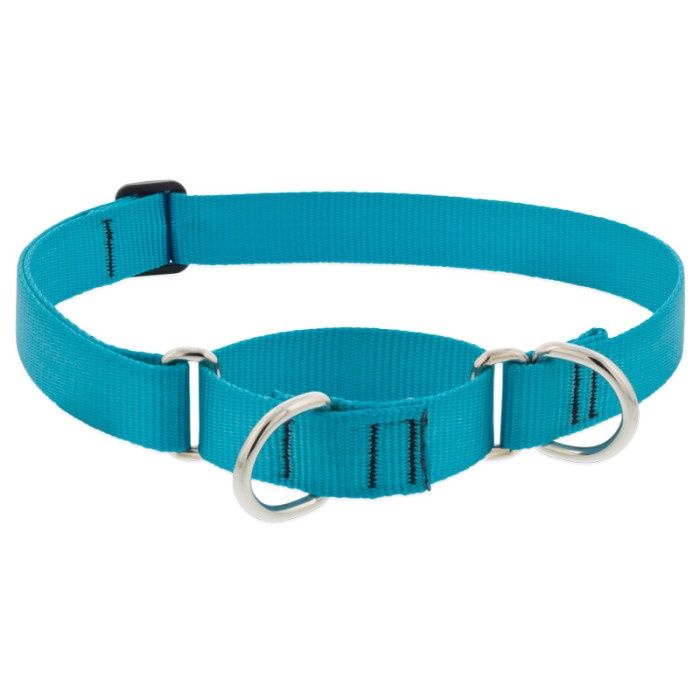 Lupine Basics 3/4in Martingale Aqua 14-20in