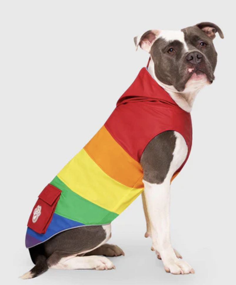 Canada Pooch Torrential Tracker Rainbow Size 16