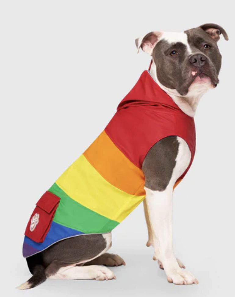 Canada Pooch Torrential Tracker Rainbow Size 20